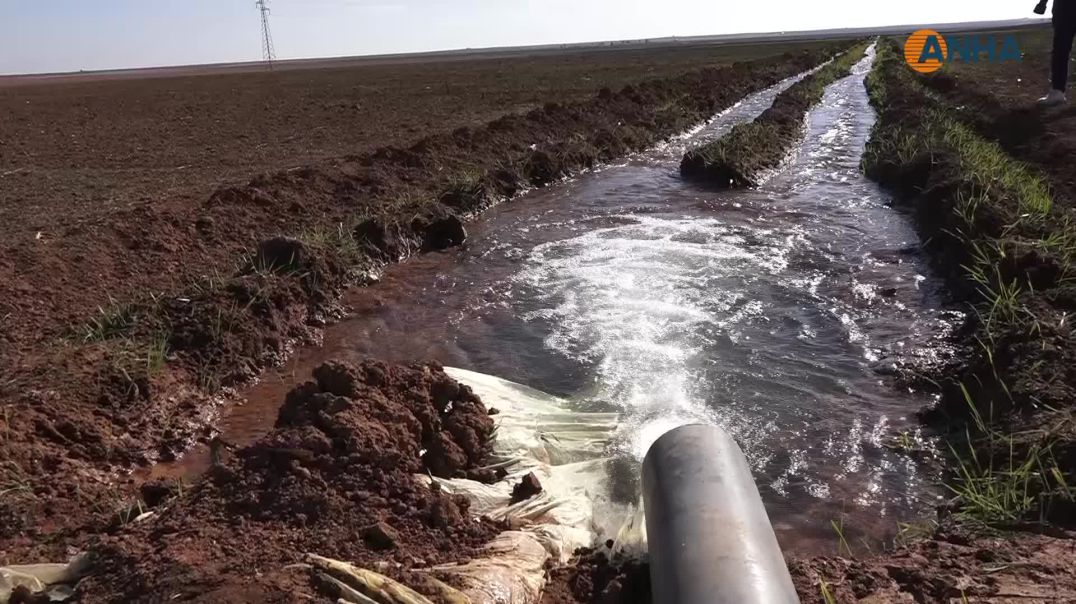 قحط وجفاف.. مخاوف من تلف 70% من المساحات الزراعية