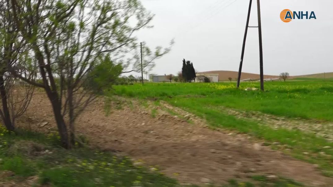 كوباني.. حين يزهر الربيع وتتجلى الطبيعة