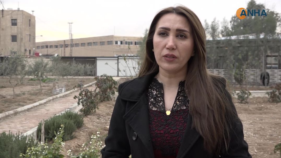 ⁣تجريد الأمهات من حق الوصاية انتكاسة جديدة لحقوق المرأة في سوريا