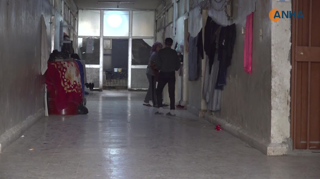 مهجّرو عفرين يحلمون بالعودة إلى ديارهم وزراعة الزيتون من جديد في كل مناسبة