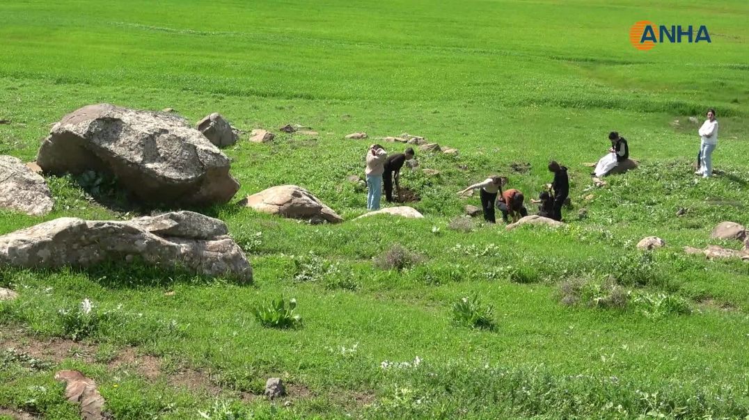 ضمن فعاليات 4 نيسان زراعة الأشجار في مدينتي الدرباسية وجل آغا